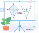 Properties of a Kite - Definition, Diagonals, Examples, Facts