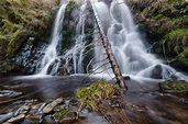 Visita Hawick: El mejor viaje a Hawick, Escocia, del 2023| Turismo con ...