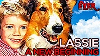 LASSIE - A NEW BEGINNING | Full FAMILY PUPPY Movie in ENGLISH - YouTube
