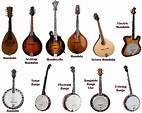 Banjodoline Virtual Banjo and Mandolin VST VST3 AU Plugin. Banjolin ...