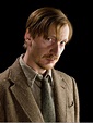 Remus Lupin – Harry Potter Wiki