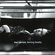 Burning Dorothy - Album by Thea Gilmore | Spotify