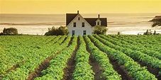 Beautiful Farms on Prince Edward Island, Canada — Real Life Green ...
