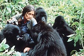 Dian Fossey The Gorilla Maestro - Safaris Rwanda Safari