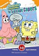 Buy Spongebob Squarepants - Seascape Capers DVD Online | Sanity