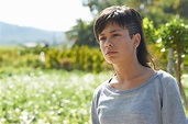 The Olive Tree 2016, directed by Icíar Bollaín | Film review