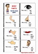 The parts of the body interactive and downloadable worksheet. Check ...