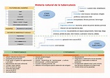 Historia natural de la tuberculosis - Historia natural de la ...