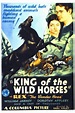 King of the Wild Horses (Film, 1933) - MovieMeter.nl