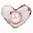 Judging the South Sea Pearls Surface - TPS Blog