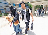 警掃毒拘3人 疑犯抱同愛犬帶署 - 晴報 - 港聞 - 新聞二條 - D170818