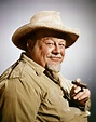 burl ives | Old movie stars, American actors, Classic hollywood