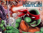 Read online Teenage Mutant Ninja Turtles (1984) comic - Issue #5