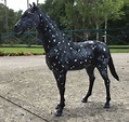 Image result for snowflake appaloosa | Horses, Appaloosa, Giraffe