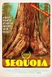 Sequoia Movie Poster - IMP Awards