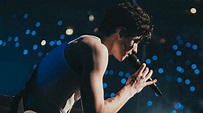 Shawn Mendes comparte increíbles fotos de su gira | Nación Rex