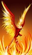 Rising Phoenix Bird-30 beautiful phoenix artworks, 3d and oil paintings ...
