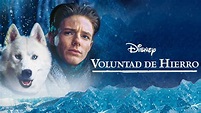 Ver Voluntad de hierro | Película completa | Disney+