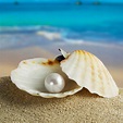 Natural Pearl in Shell