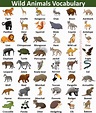 100+ Wild Animals Names in English with Picture – VocabularyAN