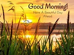 Good Morning Wishes - Good Morning Pictures – WishGoodMorning.com