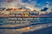 Quote: A friendship lasts forever, never does it... - CoolNSmart