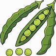 Green Bean Fruit Cartoon Colored Clipart 21964544 Vector Art at Vecteezy