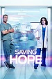 Saving Hope (TV Series 2012-2017) - Posters — The Movie Database (TMDb)