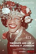 The Death and Life of Marsha P. Johnson TV Poster - IMP Awards