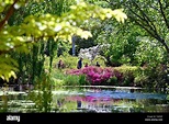 The Isabella Plantation in Richmond Park on a sunny summers day, Surrey ...