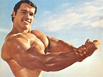 Arnold Schwarzenegger Bodybuilding Wallpapers Posters And Pictures ...