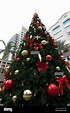 Christmas tree on Las Olas Boulevard in city center of Fort Lauderdale ...