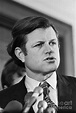 Senator Edward Kennedy At Capitol by Bettmann