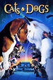 Cats & Dogs (2001) - Posters — The Movie Database (TMDB)