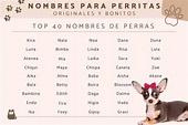 Nombres para perritas originales y bonitos