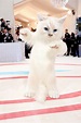 Jared Leto lleva el traje de gato gigante en la MET Gala 2023 | Vogue