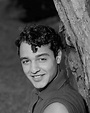 Pin by Rbarry on Sal Mineo | Hollywood icons, Classic hollywood, Hollywood