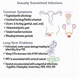 Immunology/Microbiology Glossary: Sexually Transmitted Infections ...