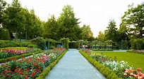Visita Jardín de rosas de Berna en Kirchenfeld-Schosshalde - Tours ...