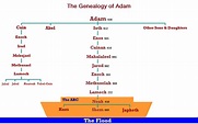 Adam and eve family tree