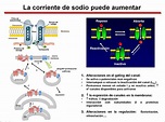 Proyecto ITACA