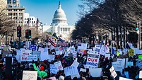 From Congress to Protest : Democracy Journal