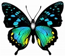 Lista 99+ Foto Mariposas Para Dibujar A Color Paso A Paso El último