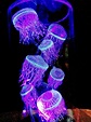 Jellyfish, Bioluminescent and Fluorescent | Глубоководные животные ...