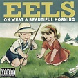 Oh What A Beautiful Morning - Album by Eels | Spotify