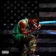 Lupe Fiasco's Food & Liquor II: The Great American Rap Album, Part 1 ...