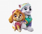 Paw Patrol Skye And Everest, HD Png Download , Transparent Png Image ...