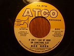 Bee Gees - If Only I Had My Mind On Something Else (1970, Vinyl) | Discogs