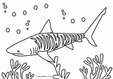 Dibujos de Tiburón para colorear - Páginas para imprimir gratis