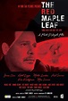 The Red Maple Leaf Movie Posters From Movie Poster Shop